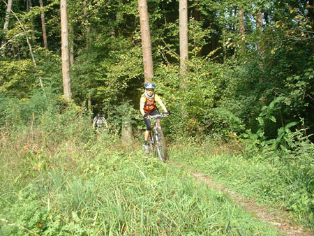 Werth_250905_006