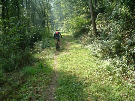Werth_250905_007