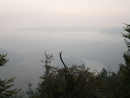 Werth_250905_031