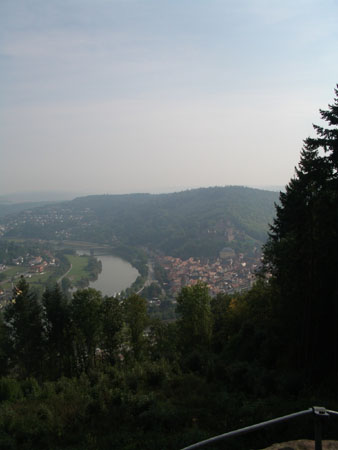 Werth_250905_043