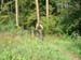 Werth_250905_006