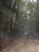 Werth_250905_018