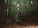 Werth_250905_021