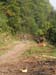 Werth_250905_036
