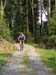 Werth_250905_039
