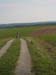 Werth_250905_049