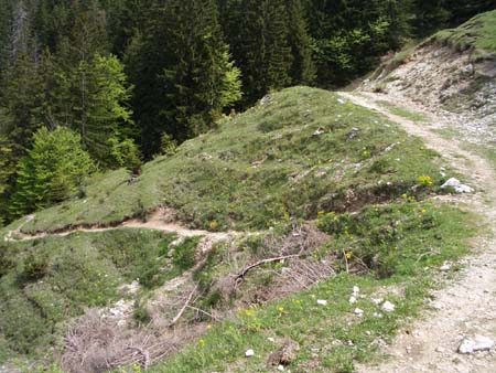 Chiemgau Mai 06 (010)