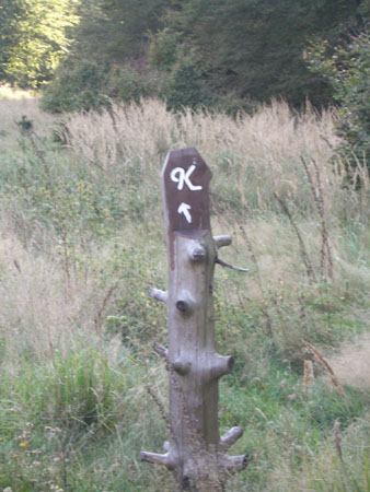 Herm06_064