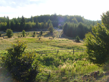 Herm06_069