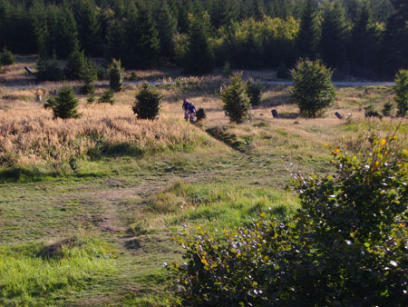 Herm06_071