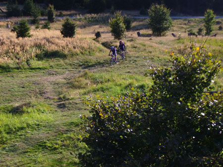 Herm06_072
