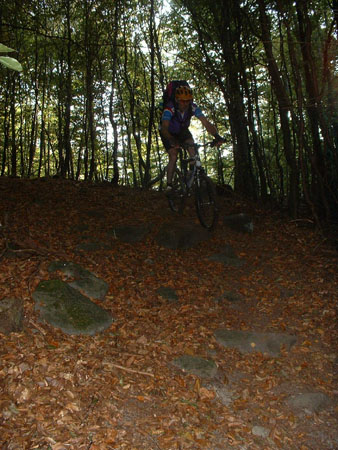 Herm06_111