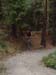 Herm06_008