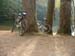 Herm06_013