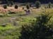 Herm06_072