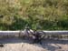 Herm06_092