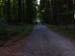 Herm06_101