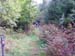 Herm06_105