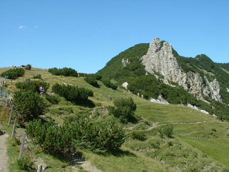 DSCF0037