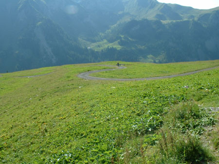 DSCF0039