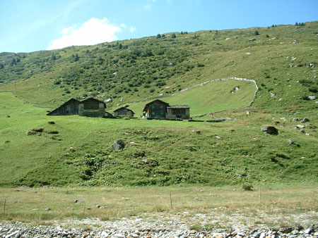 DSCF0081