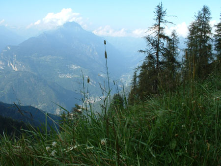 DSCF0119