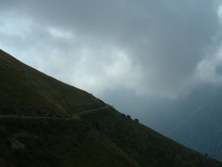 DSCF0131