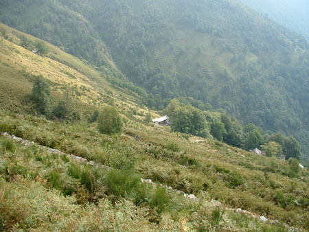 DSCF0135