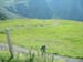 DSCF0038
