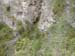 DSCF0046