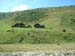 DSCF0081