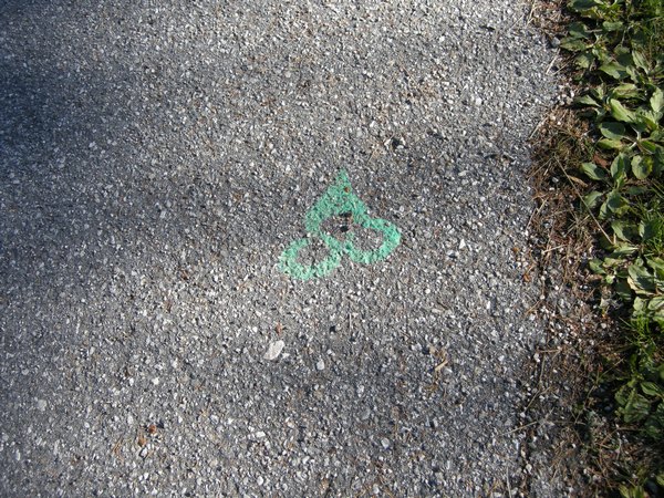 dscn7679.jpg