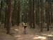 Tour III 03 (16)