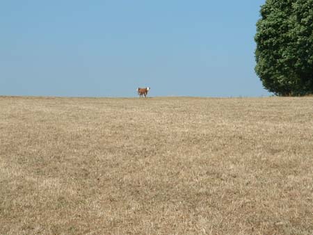 Tour IV 03 (15)