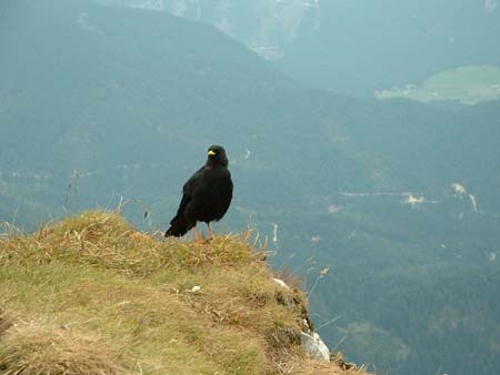Achensee_038