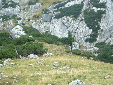Achensee_047