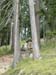 Achensee_009
