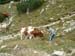 Achensee_028