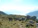 Achensee 063