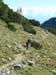 Achensee 098