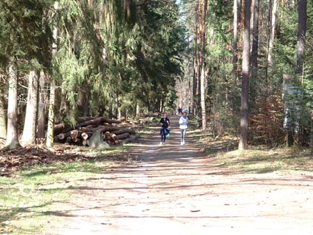 FrieLau 057