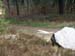 FrieLau2004 022