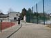 FrieLau2004 134