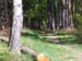 FL07_102