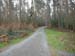 FL08_074a