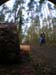 FL08_162a