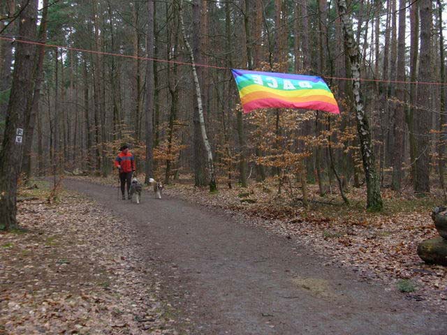 0309_FrieLau-053
