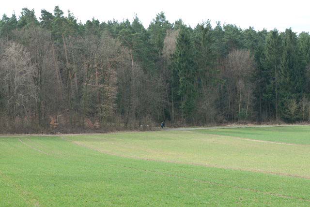 0309_FrieLau-098