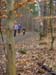 0309_FrieLau-064
