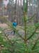 0309_FrieLau-070